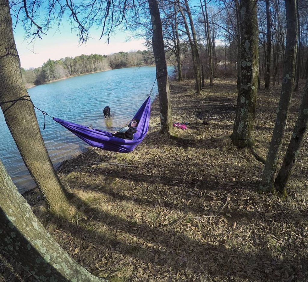 Hammock hangs at Yellow Creek State Park.